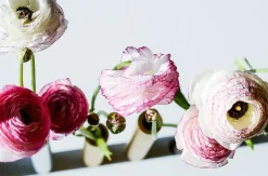 - Slim Vase - Messing - Højde 17 cm^Kunstindustrien Sale