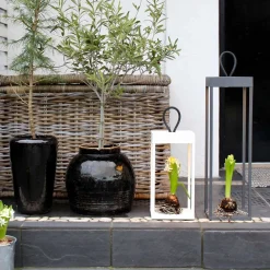 Lampefeber - LUCERNA 30 lanterne på batteri - Hvid^Grupa-Products Sale