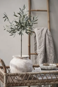 - Oliventræ Flora - 73 cm.*Lene Bjerre Online