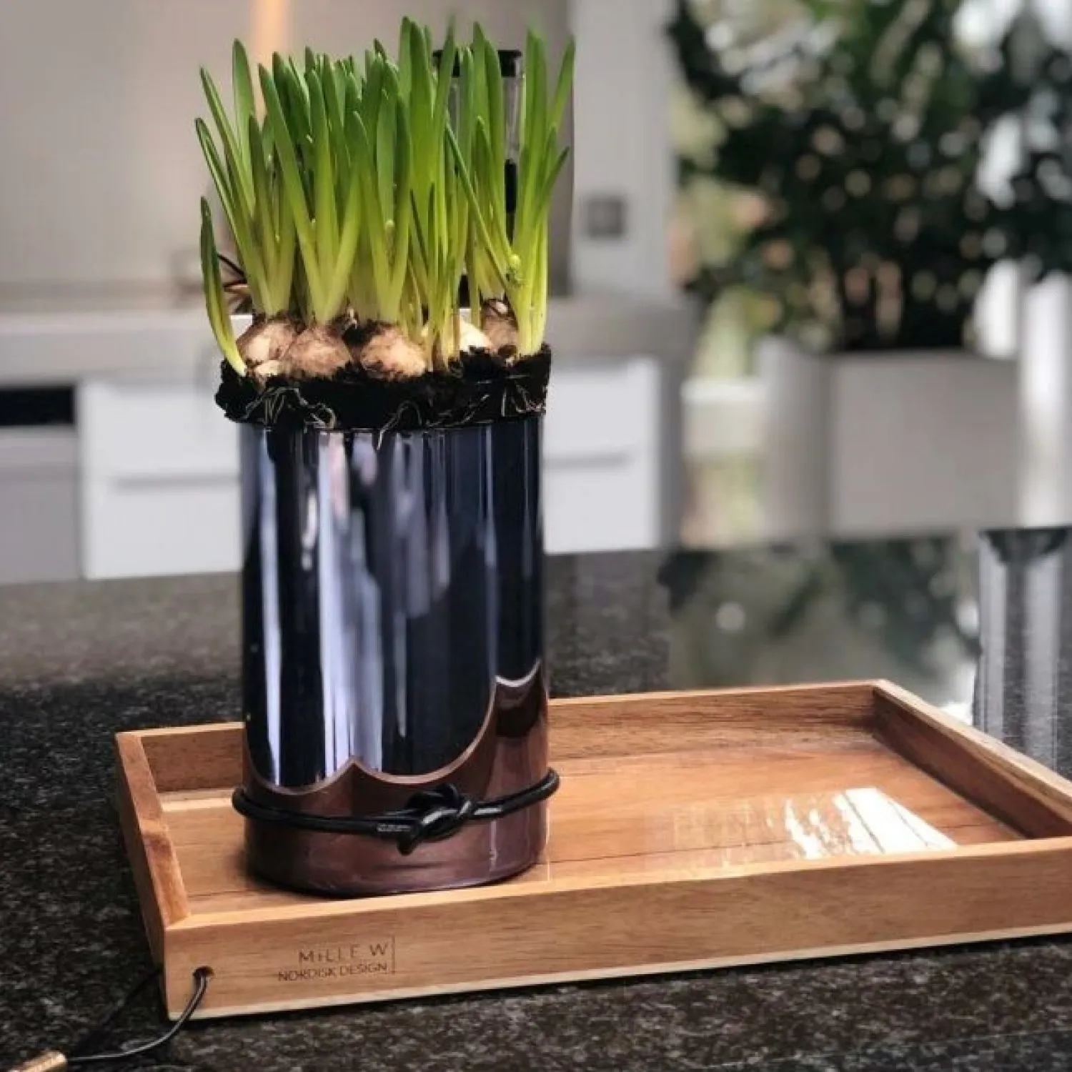 - Lyslygte/Vase i medium (Sort)*MILLE W NORDISK DESIGN Online