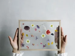 Ramme A2 - Frame Oak^MOEBE Best