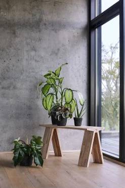 - Bænk Angle - Eg*Muubs Outlet