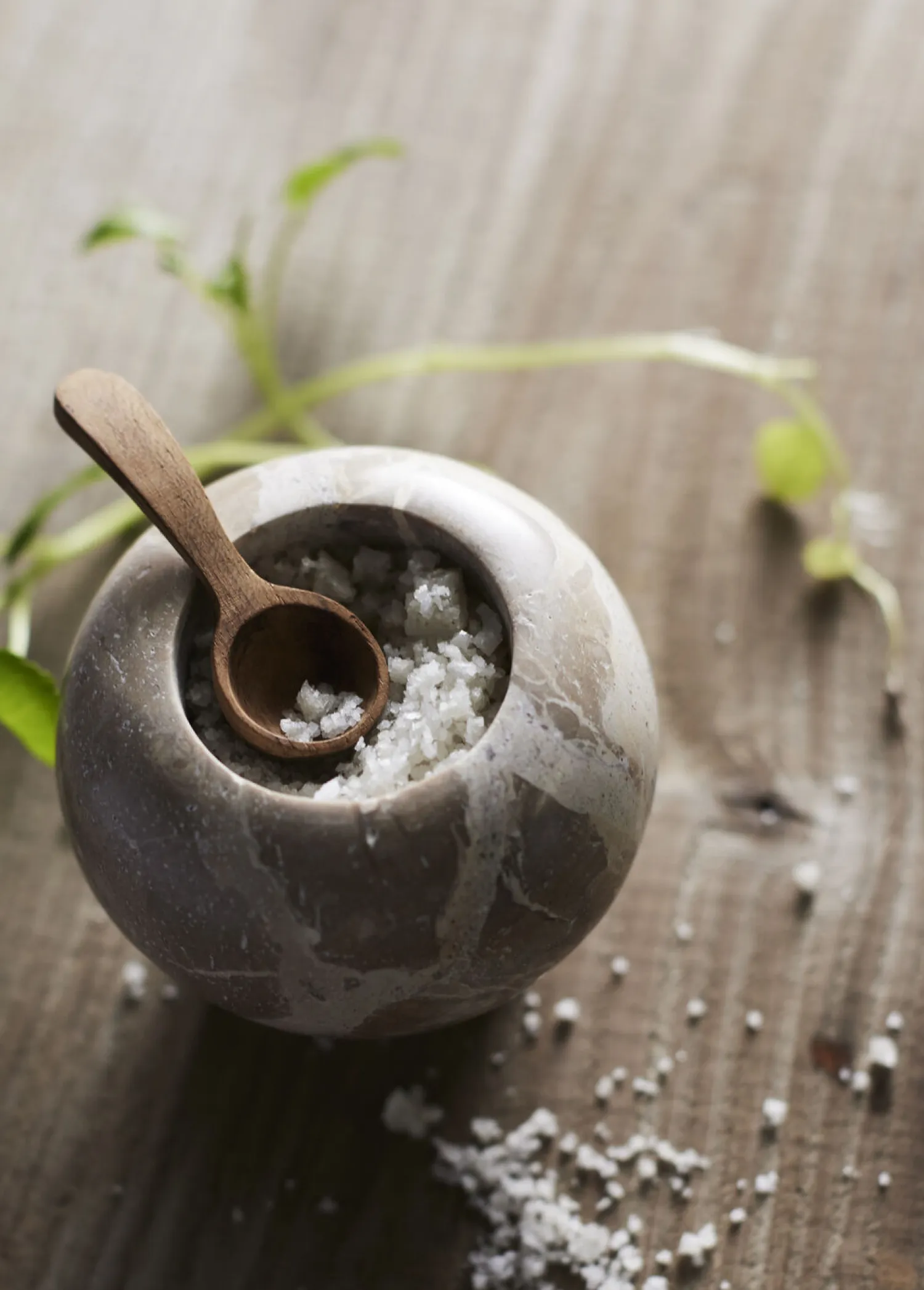 -Vita Fyrfadsstage - Seashell*Muubs Hot