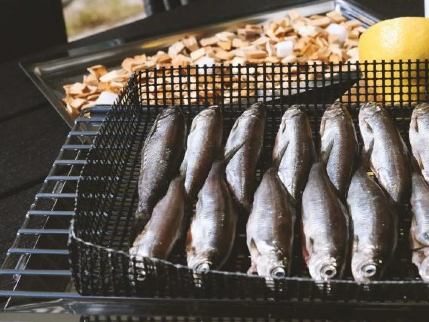 - Grill- og Røgkurv*Muurikka