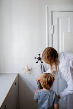 - Wall Bug - Ask*Nofred Best