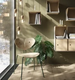 - Træpendel - BRIGHT SPROUT - Oiled (ledning m/fatning medfølger ikke)*Nordic Tales Clearance