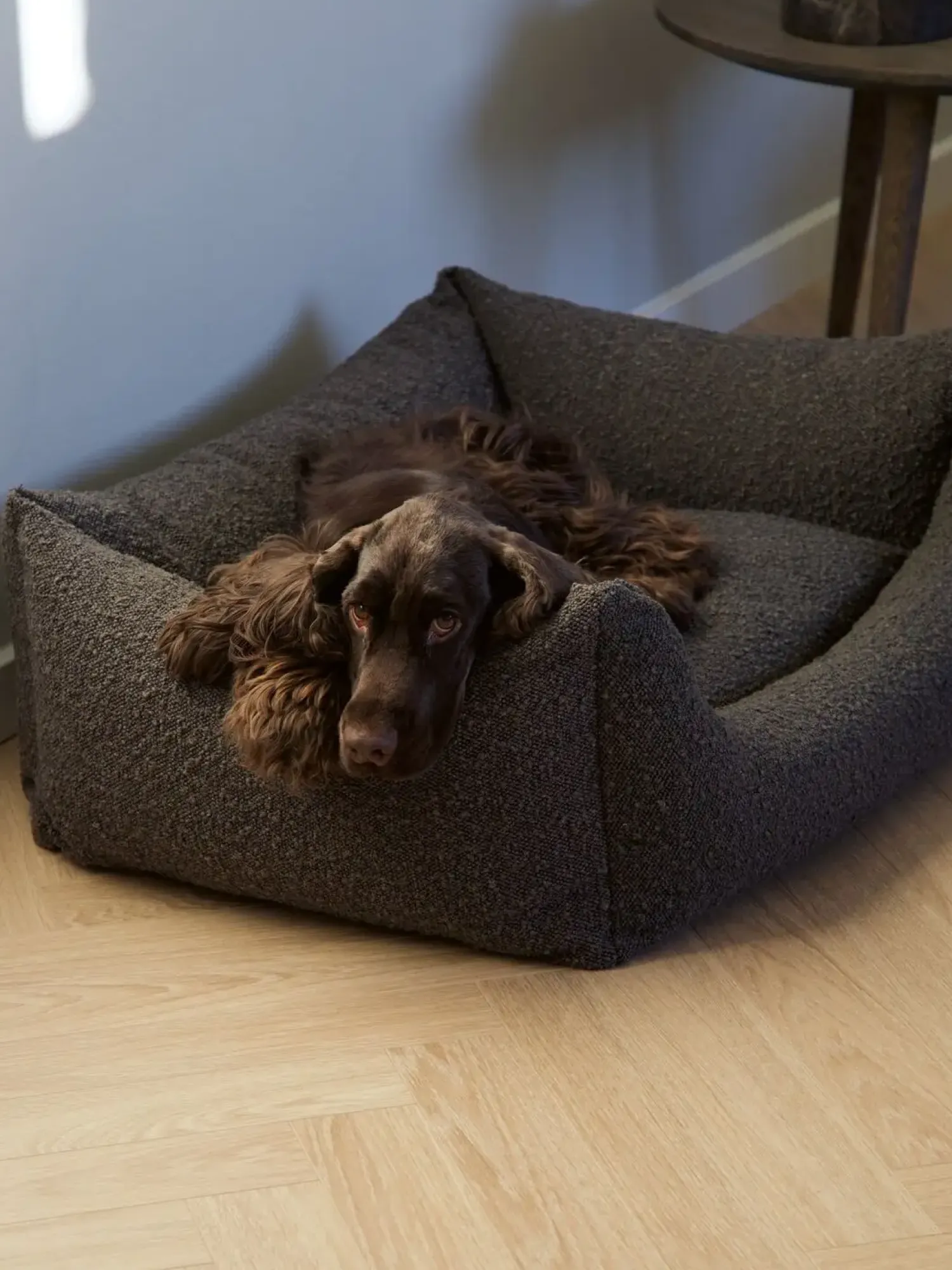 - Billy Bouclé hundeseng Mocca - Small - 60 x 44 x 20 cm*Nordog Discount