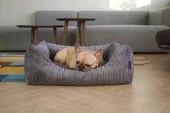 - Hundeseng - Oscar - Velvet - Anthracite - Medium*Nordog Outlet