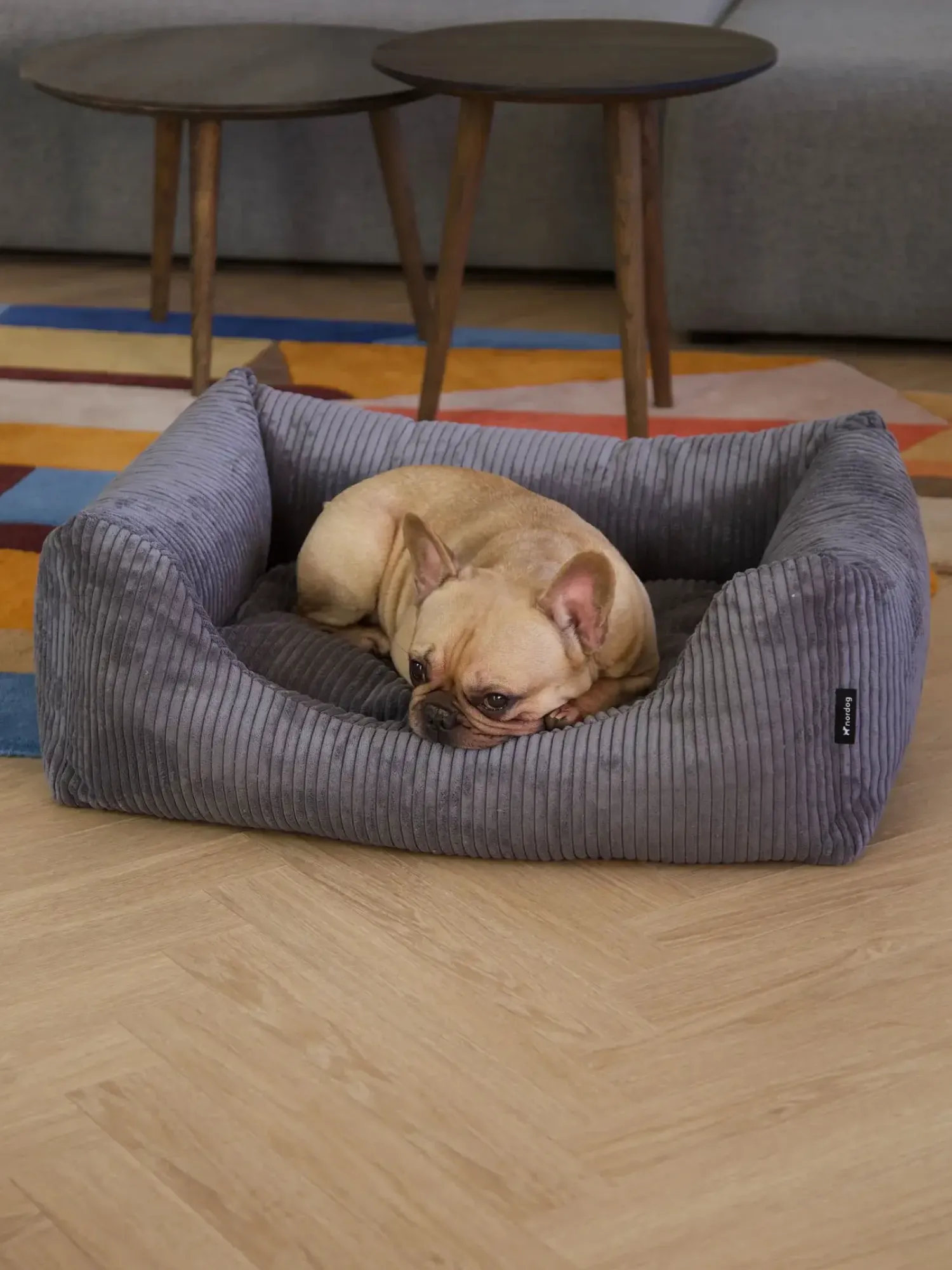 - Hundeseng - Oscar - Velvet - Anthracite - Large^Nordog Outlet