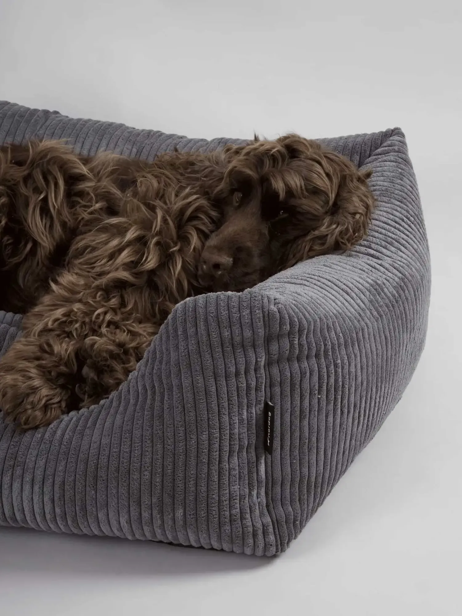 - Hundeseng - Oscar - Velvet - Anthracite - Large^Nordog Outlet