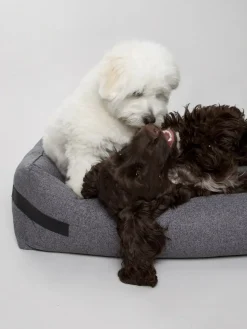 - Hundeseng HYGGE Anthracite - medium^Nordog Discount