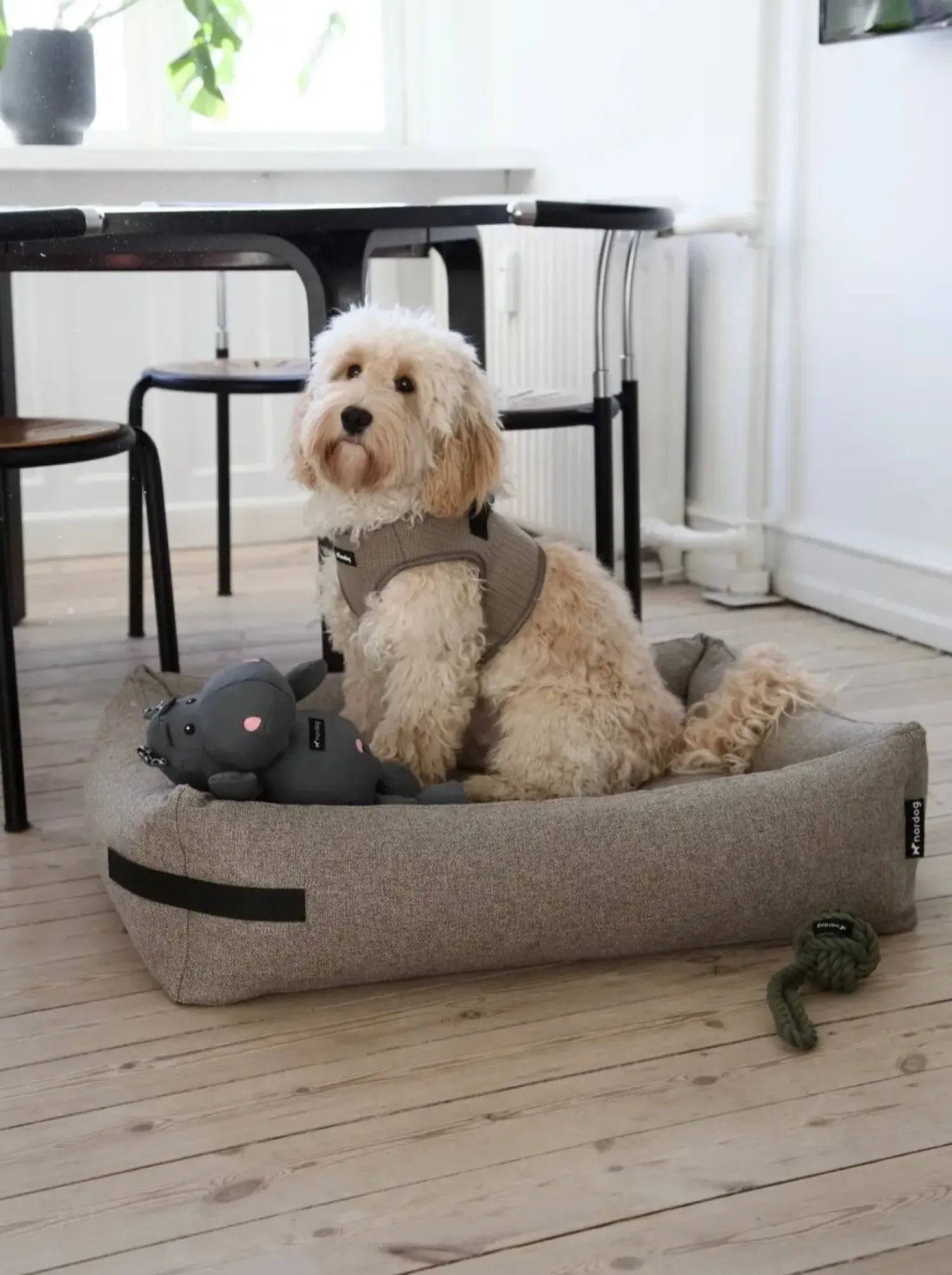 - Hundeseng HYGGE Cappuccino - Large - 110 x 85 cm^Nordog Clearance