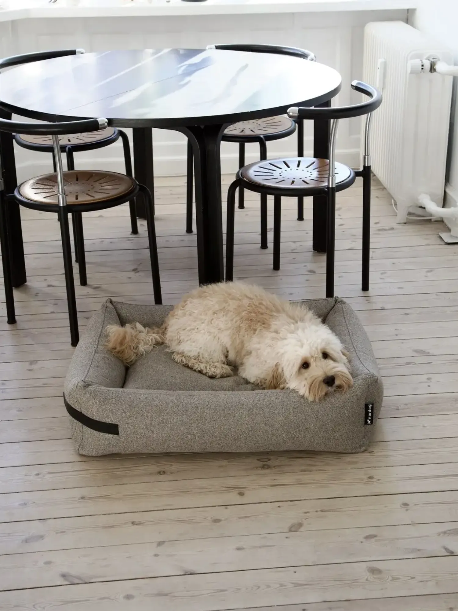 - Hundeseng HYGGE Cappuccino - Large - 110 x 85 cm^Nordog Clearance