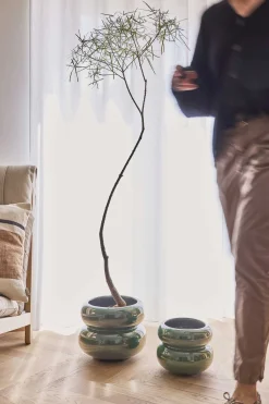 - Plantekrukke - Kupla - Small - Grøn*OYOY Sale