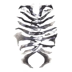 Paradisco Production illustration - ARMOUR A3*Paradisco Productions Clearance