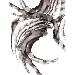 Paradisco Production illustration - GLORIOR A3^Paradisco Productions Clearance