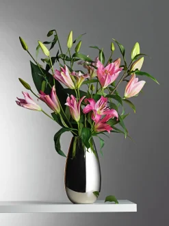 - Anais Vase L*Philippi Online