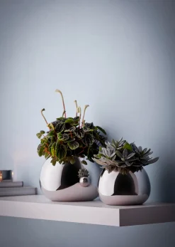 - Bella vase S*Philippi Clearance