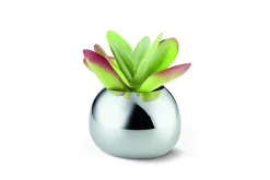 - Bella vase S*Philippi Clearance