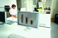 - Esmeralda vase S^Philippi Online