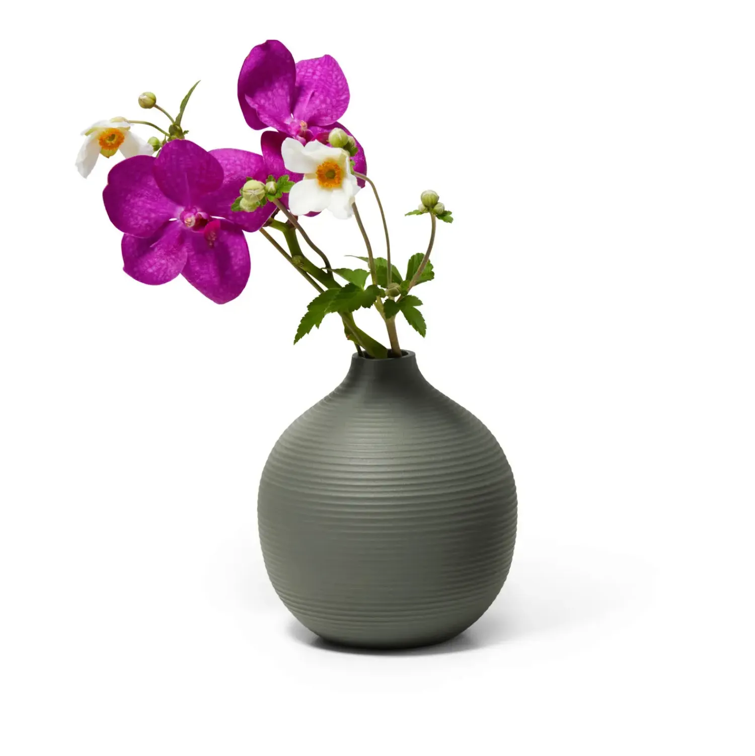 - Lim vase round^Philippi Clearance