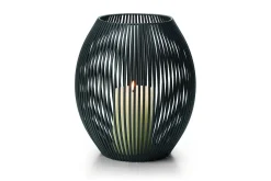 - Louisiana lantern, L^Philippi Discount