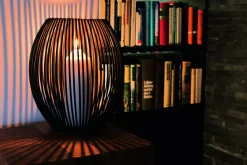 - Louisiana lantern, L^Philippi Discount