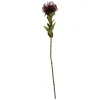 - Artificial plant Protea Flower small burgundy red^Present time Hot