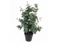 - Artificial plant Eucalyptus Leaf^Present time Best