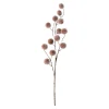 - Artificial flower Poppy Berry brown^Present time New