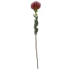 - Artificial plant Protea Flower large burgundy red*Present time Online