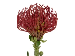 - Artificial plant Protea Flower large burgundy red*Present time Online