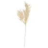 - Artificial plant Asparagus Fern Stem white*Present time Discount