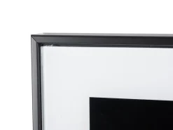 - Photo art Lion glass black & white^Present time Hot