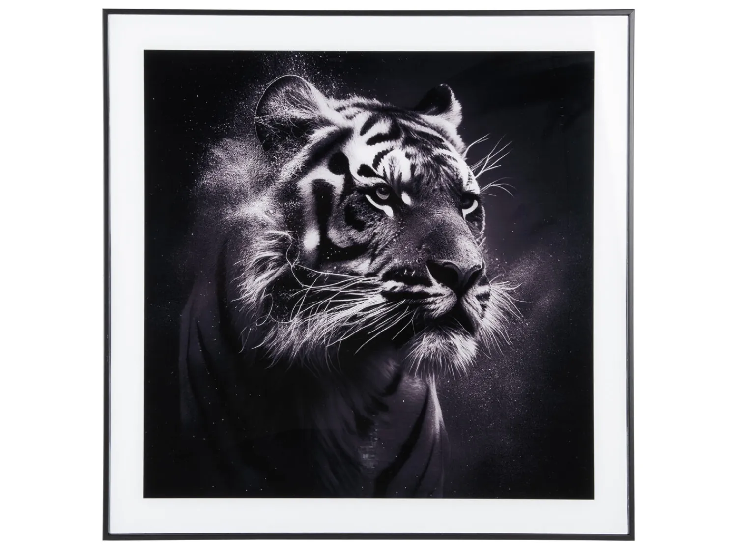 - Photo art Tiger glass black & white^Present time