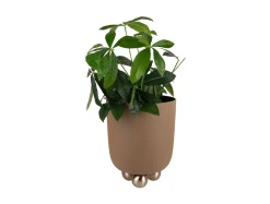 - Plant pot Estilo large mocha brown*Present time Outlet