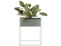 - Plant pot set Essence straight iron jungle green*Present time Outlet