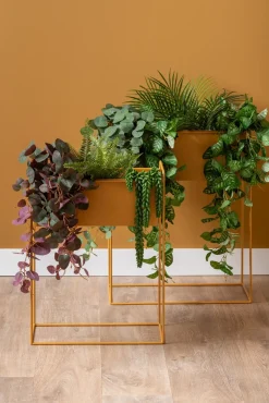 - Plant pot set Essence straight iron ochre yellow*Present time