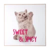 - Wall art kitten Sweet & Spicy bright pink^Present time Best