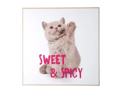 - Wall art kitten Sweet & Spicy bright pink^Present time Best