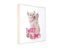 - Wall art kitten Sweet & Spicy bright pink^Present time Best
