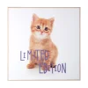 - Wall art kitten Limited Edition purple*Present time New