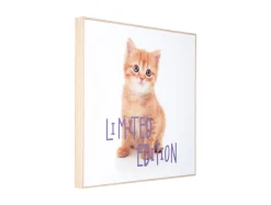 - Wall art kitten Limited Edition purple*Present time New