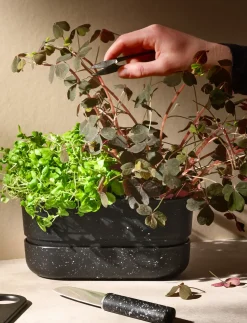 - POT-IT urtekasse black^RIG-TIG Outlet