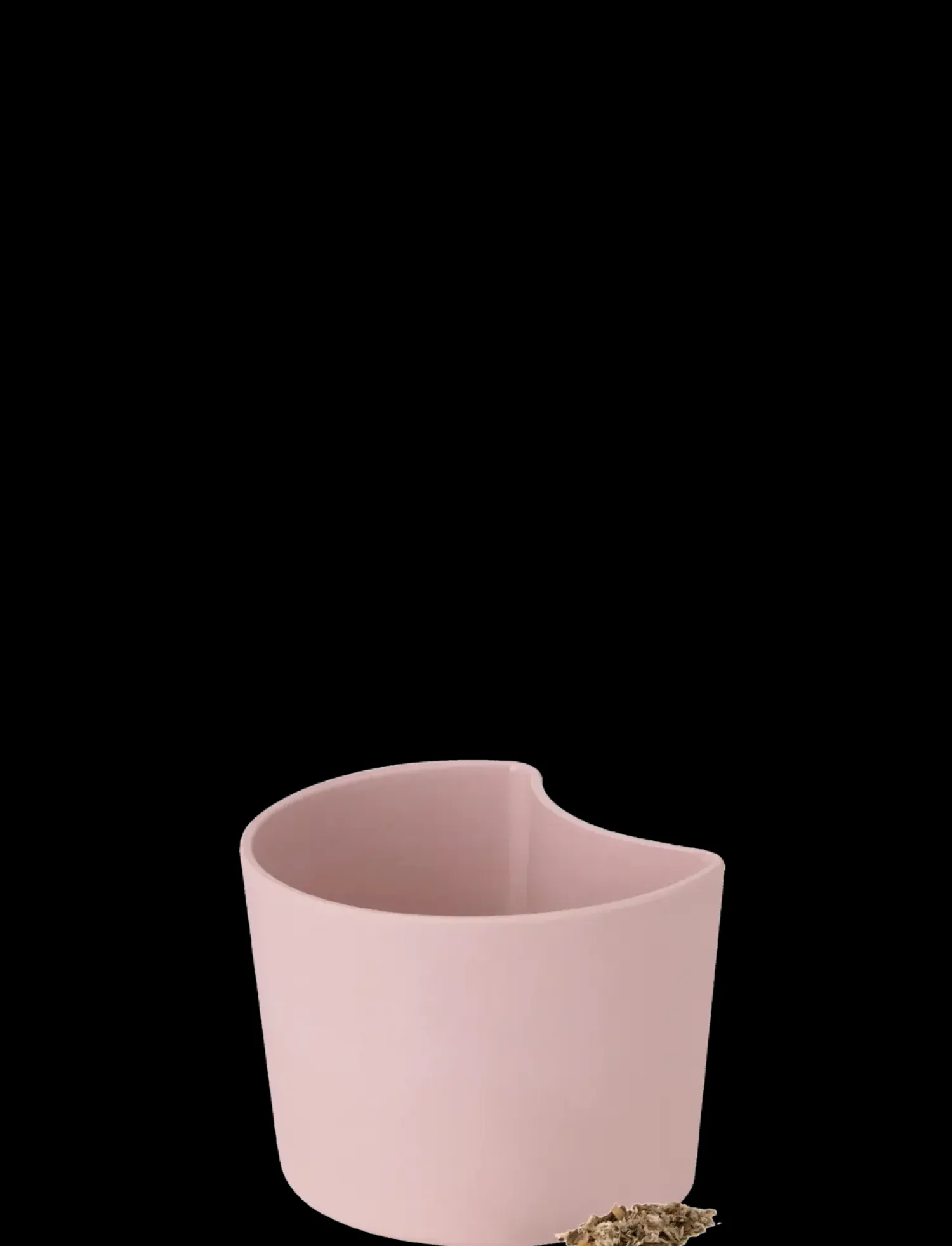 - YOUR TREE plantepotte med birkefrø pink^RIG-TIG Hot