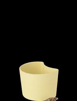 - YOUR TREE plantepotte med birkefrø yellow*RIG-TIG Discount