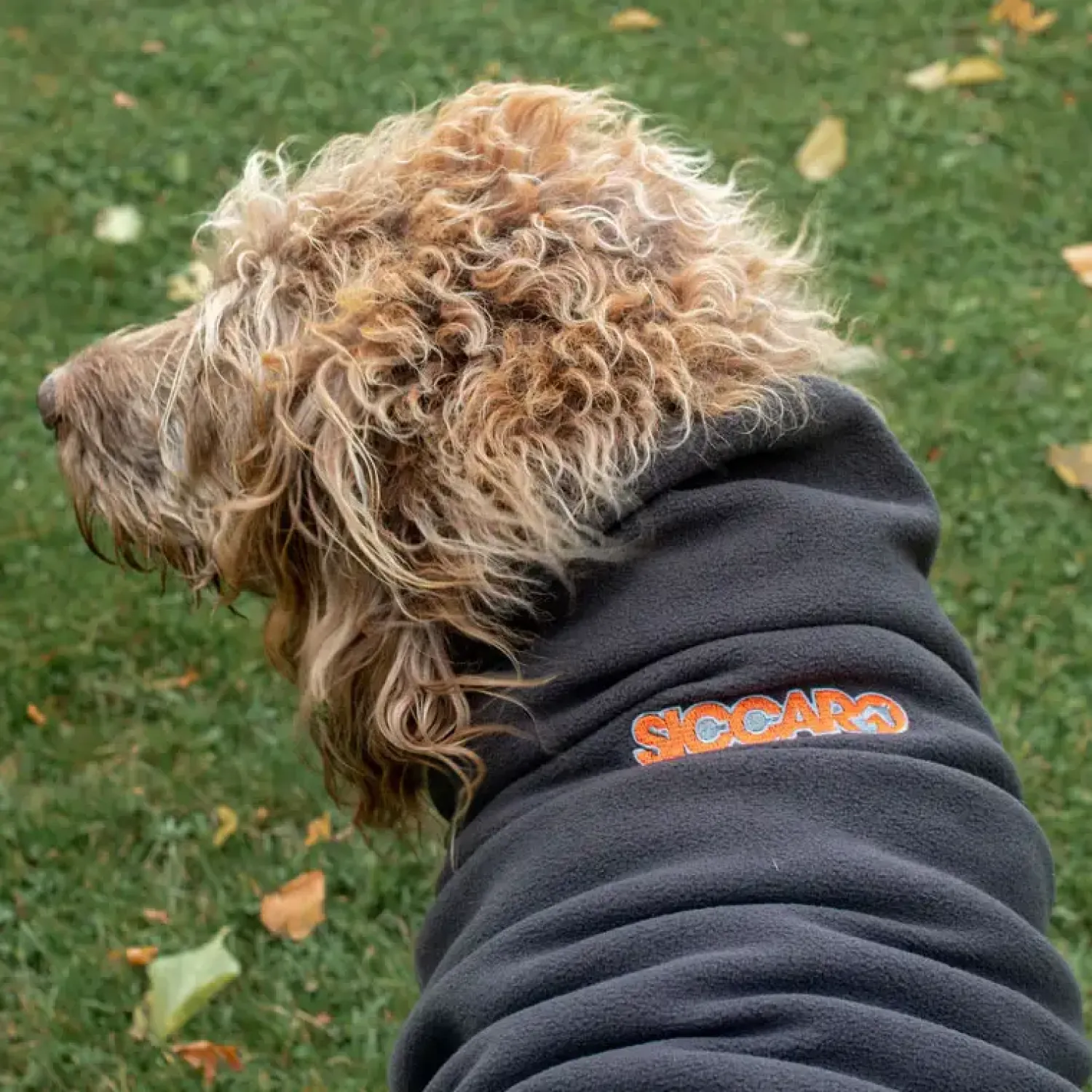 Sicarro - Fleecedække - Recovery - str. 40 (40-47 cm) - Charcoal^Siccaro Outlet