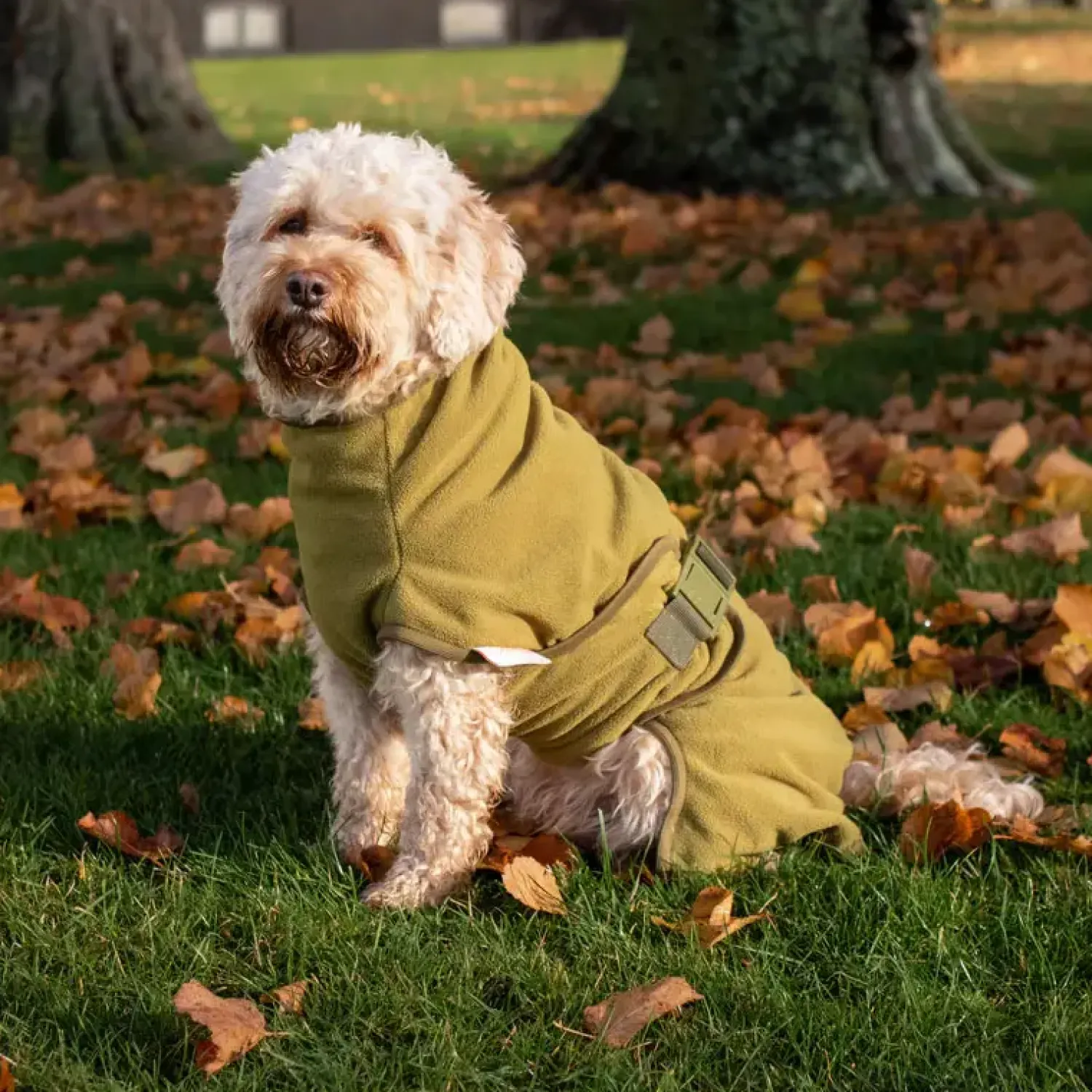 Sicarro - Fleecedække - Recovery - str. 40 (40-47 cm) - Charcoal^Siccaro Outlet