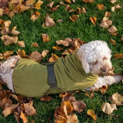 Sicarro - Fleecedække - Recovery - str. 40 (40-47 cm) - Charcoal^Siccaro Outlet