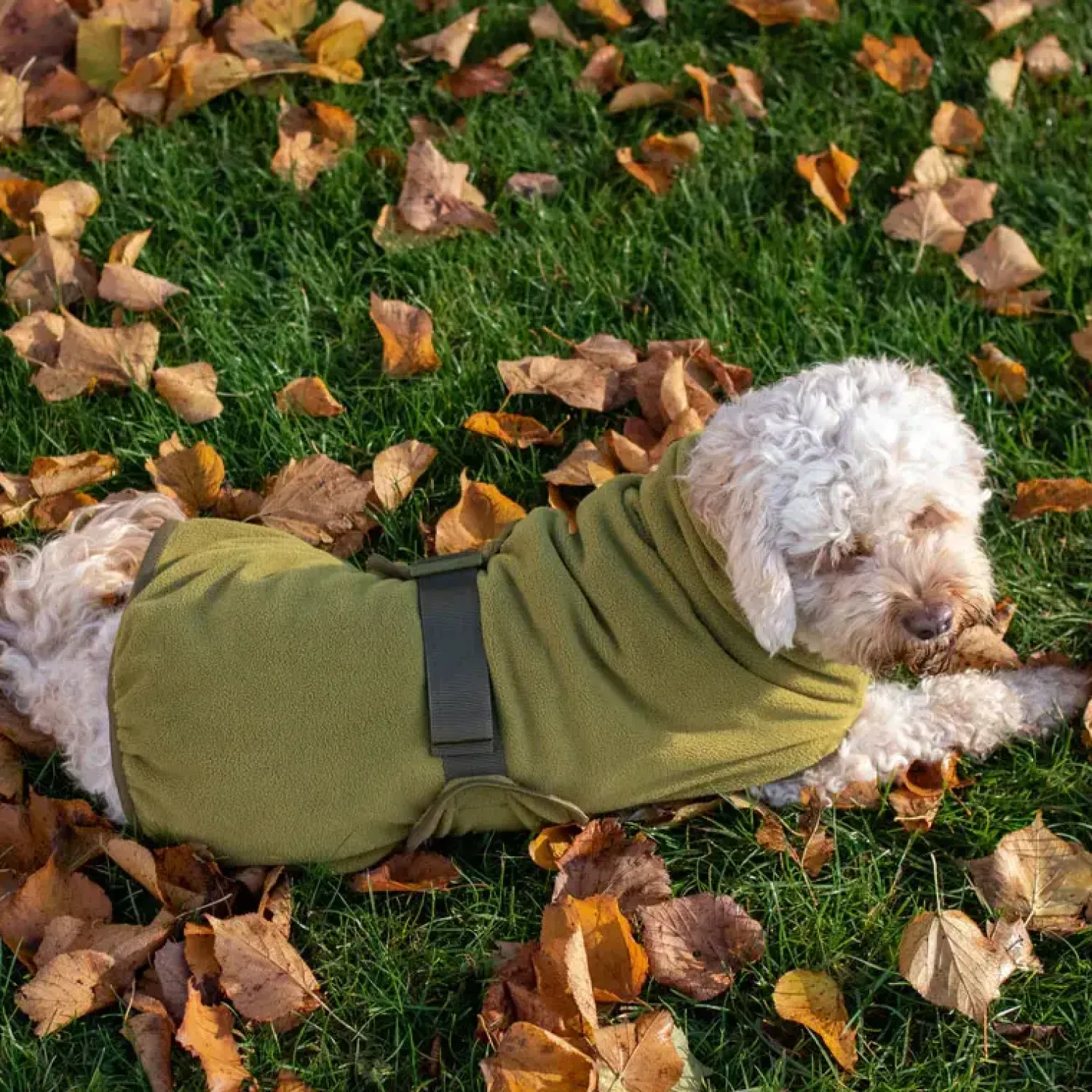 Sicarro - Fleecedække - Recovery - str. 40 (40-47 cm) - Charcoal^Siccaro Outlet